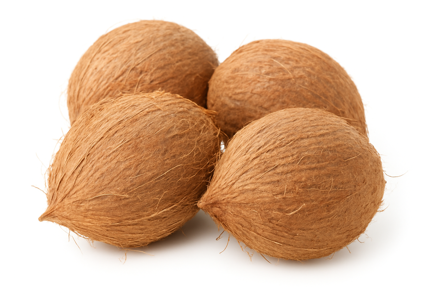Frozen Coconut Meat